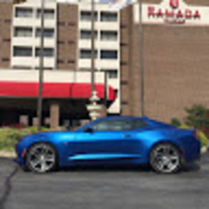 Meet your Posher, Bob